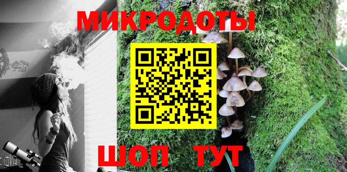 Галлюциногенные грибы мицелий Камышин