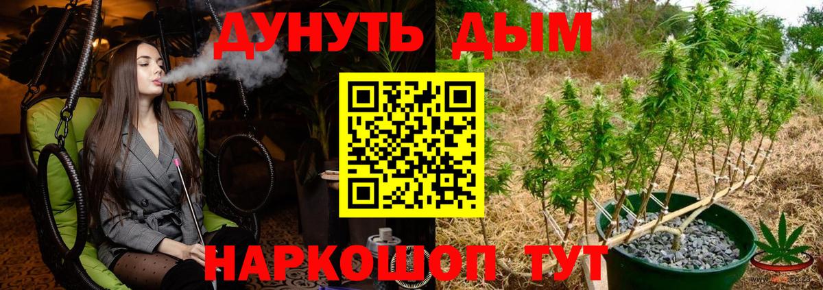Бошки Шишки OG Kush  Вход с VPN  Каннабис Bruce Banner  Камышин  МАРИХУАНА марихуана 